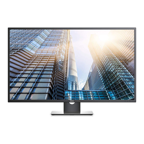 DELL p4317q 約43インチ